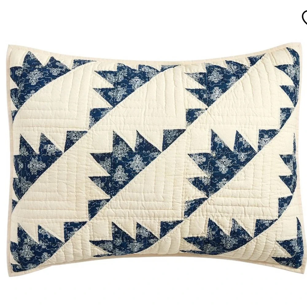Pottery Barn Lucia Quilted Standard Sham